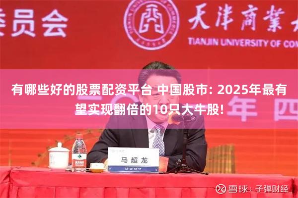 有哪些好的股票配资平台 中国股市: 2025年最有望实现翻倍的10只大牛股!