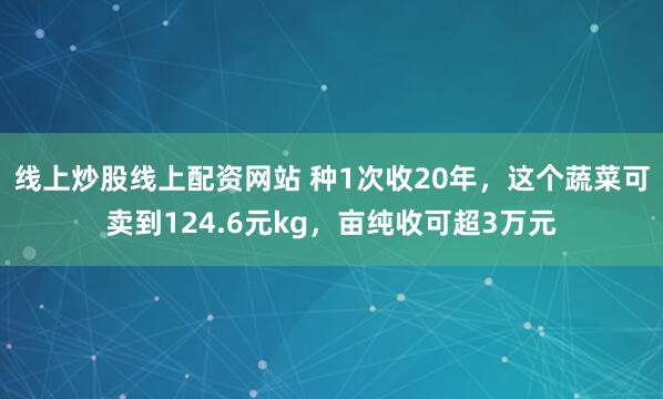 线上炒股线上配资网站 种1次收20年，这个蔬菜可卖到124.6元kg，亩纯收可超3万元