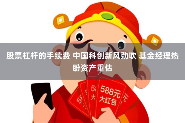 股票杠杆的手续费 中国科创新风劲吹 基金经理热盼资产重估