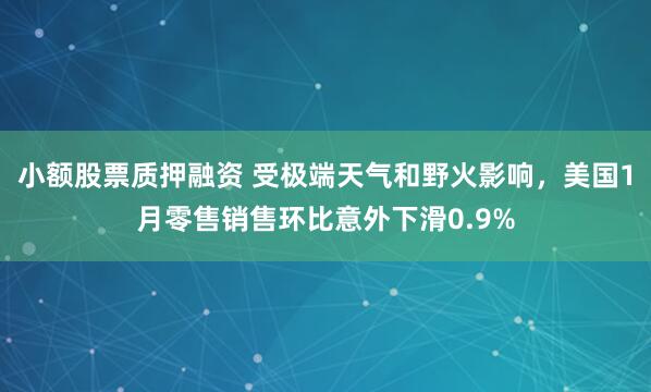 小额股票质押融资 受极端天气和野火影响，美国1月零售销售环比意外下滑0.9%