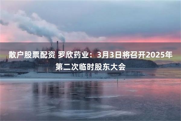 散户股票配资 罗欣药业：3月3日将召开2025年第二次临时股东大会