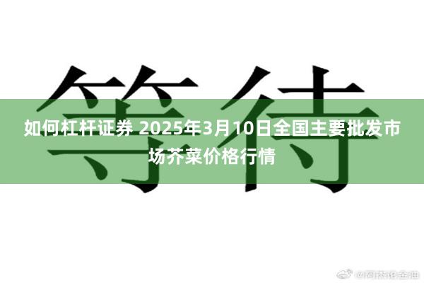 如何杠杆证券 2025年3月10日全国主要批发市场芥菜价格行情