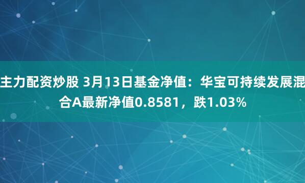 主力配资炒股 3月13日基金净值：华宝可持续发展混合A最新净值0.8581，跌1.03%